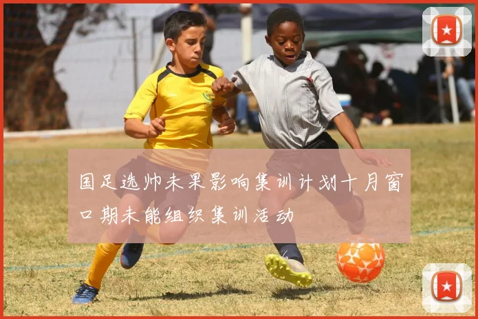 国足选帅未果影响集训计划十月窗口期未能组织集训活动