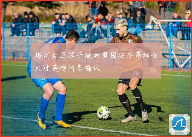 梅州后卫茹子楠加盟国安李昂转会大连英博消息确认