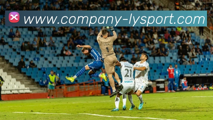 多媒体互动体验